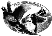 Klubben For Ft Spaniels